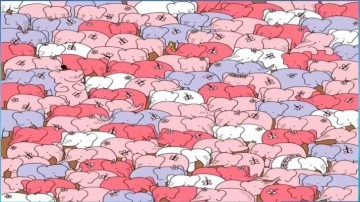 G&ouml;z yorucu zeka testi: İnsanların %90'ı 9 saniyede gizlenmiş kalbi bulamıyor!