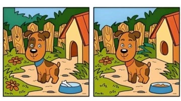 G&ouml;zleri yoran zeka testi: Konsantrasyonu tam olan testi &ccedil;&ouml;zer!