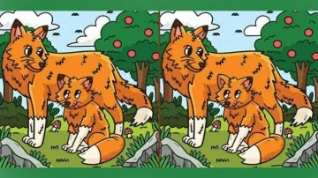 G&ouml;zleriniz ne kadar keskin? Zeka testi g&ouml;rselindeki 3 farkı 6 saniyede bulun!