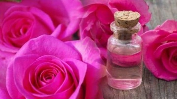 G&uuml;l suyu cilde faydaları nelerdir? Doğal g&uuml;l suyu nasıl yapılır?