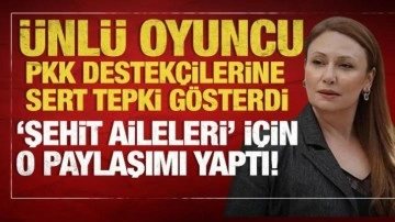 Gülçin Santırcıoğlu'ndan PKK destekçilerine sert tepki: Ateş şehit evlerine düşmüştür