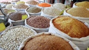 Güneydoğu'dan 5 ayda 1,5 milyar dolarlık hububat ihracatı gerçekleştirildi