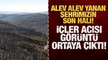Günlerdir alev alev yanan şehrimizin son hali: İçler acısı görüntü ortaya çıktı!