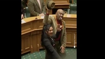 Haka dansı görevlerinden etti! Yeni Zelanda'da 3 milletvekiline ceza!