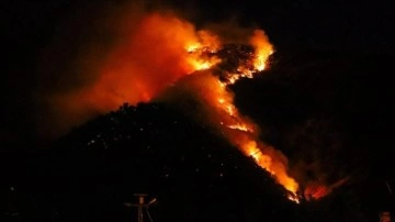 Hakkari'de orman yangını