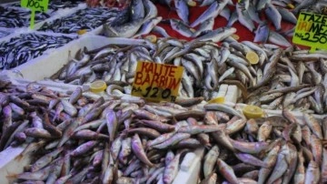 Hamsi bolluğu fiyatları düşürdü