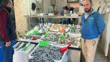 Hamsi fiyatları 100-150 TL'ye geriledi