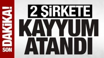 Hat Holding ve İnvestco Holding’e TMSF kayyum olarak atandı