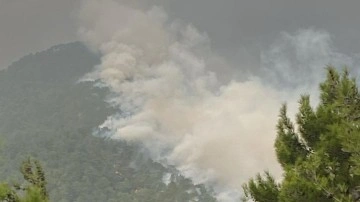 Hatay'da iki ayrı noktada çıkan yangın kontrol altına alındı