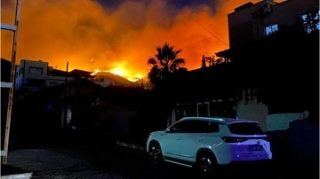 Hatay’daki orman yangınına ilişkin 1 gözaltı