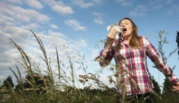 Havadaki polen miktarı 28 yılda y&uuml;zde 21 arttı