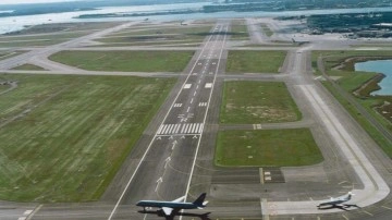 Havalimanında ayı krizi! Japonya'da uçuşlar durduruldu