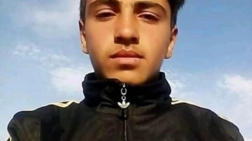 Hayvan otlatırken yıldırım isabet etti