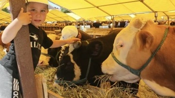 Hayvanlardaki şap hastalığı insanlara ge&ccedil;er mi uzman isim a&ccedil;ıkladı