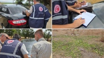 'Hayvanlarıma yem olarak verdim' dedi, cezadan kurtulamadı!