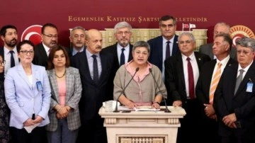 HDP ve CHP'lilerden ortak provokasyon! Meclis'e ka&ccedil;ak soktular