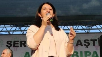 HDP'li Buldan: Se&ccedil;imlere iki ittifakla giriyoruz