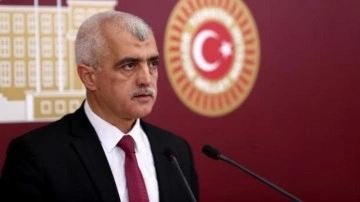 HDP&rsquo;li Gergerlioğlu&rsquo;na tokat gibi cevap! Paylaştığına pişman oldu