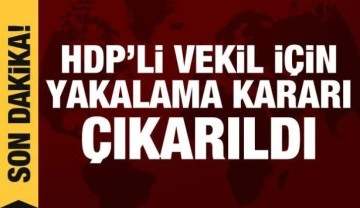 HDP'li Semra G&uuml;zel hakkında yakalama kararı &ccedil;ıkarıldı