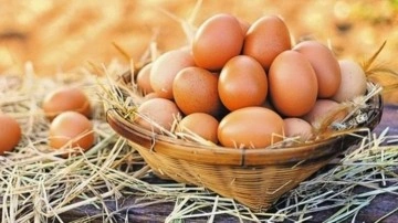 Her g&uuml;n yumurta yenmeli mi? Yumurtanın faydaları ve zararları&hellip;