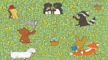 Herkesin &ccedil;&ouml;zemediği zeka testi: İnsanların sadece %2'si bulabiliyor!