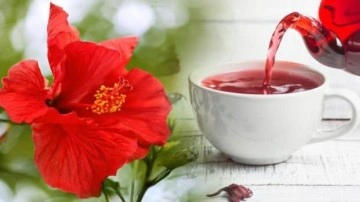 Hibiskus &ccedil;ayı faydaları nelerdir? Hibiskus &ccedil;ayını kimler i&ccedil;emez?
