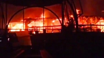 Hindistan'da gece kulübü faciası: 25 ölü