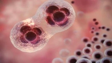 İ&ccedil; kanama neden olur, belirtileri nelerdir? İ&ccedil; kanamalarda ilk yardım nasıl yapılır?