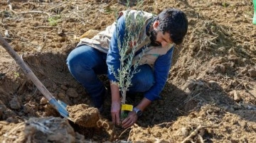 İHH’dan 3 ildeki çiftçilere 25 bin fidan desteği