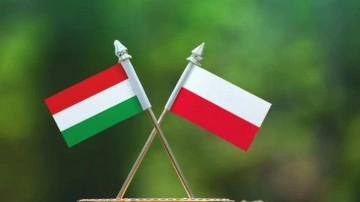 İki ülke arasında kriz! Peş peşe açıklamalar! Büyükelçi geri çağrıldı