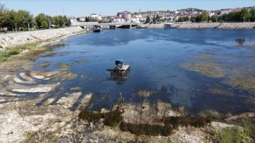 İklim krizine karşı bakanlıktan Beyşehir Gölü hamlesi