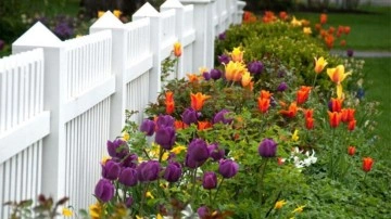 İlkbaharda reng&acirc;renk bir bah&ccedil;e i&ccedil;in Ekim ayında ekilecek beş &ccedil;i&ccedil;ek