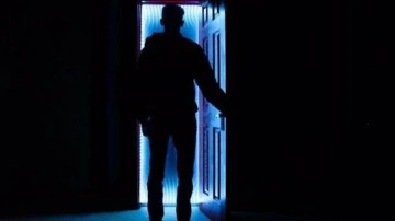 İnşaat işçisi kılığında ev soygunu... ABD'de milyonlarca dolarlık vurgun!