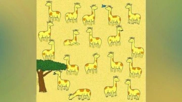 IQ &ouml;l&ccedil;en zeka testi: Deneyenlerin y&uuml;zde 97'si 25 saniyede eşi olmayan z&uuml;rafayı bulamıyor!