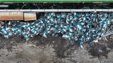 İSBİKE'de skandal! Bakımda denildi, milyonlarca lira hurda edildi!