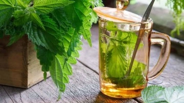 Isırgan otu &ccedil;ayı faydaları nelerdir, nasıl yapılır? Taze ve kuru ısırgan otu &ccedil;ayı mucizesi