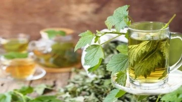 Isırgan otu &ccedil;ayı nasıl yapılır, faydaları nelerdir? Taze ısırgan otu nasıl t&uuml;ketilir?