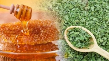 Isırgan otu ve bal karışımı neye iyi gelir? En keskin balgam s&ouml;kt&uuml;r&uuml;c&uuml; karışım...