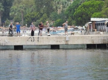 İskeleden denize d&uuml;ş&uuml;p &ouml;ld&uuml;