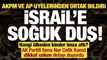 İsrail'e soğuk duş, AKPM ve AP üyelerinden ortak bildiri! Hangi ülkeden kimler imza attı?