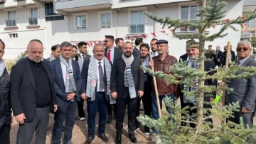 İsrail'in saldırılarında şehit olan Filistinli 273 gazeteci anısına fidan dikildi