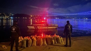 İstanbul Boğazı'nda kaçakçılara operasyon! 2.3 ton canlı midye denize geri bırakıldı