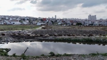 İstanbul'un ortasında korkunç görüntü: Dere siyahlaştı, bölgeye lağım kokusu yayılıyor