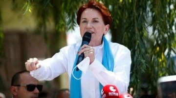 İYİ Parti lideri Akşener'i sokak k&ouml;peği ısırdı