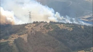 İzmir Aliağa'da orman yangını! Ekipler rüzgara karşı mücadele ediyor