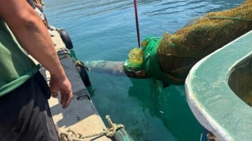 İzmir'de balıkçı ağına denizaltı torpidosu takıldı: Dokunmayın patlar