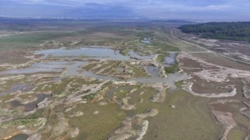 İzmir'de barajlar kuruyor, kritik eşik aşıldı: Önümüzdeki yaz daha tehlikeli olacak!