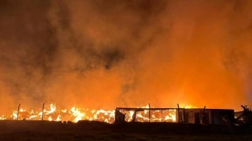 İzmir’de belediyeye ait çöp depolama alanında yangın