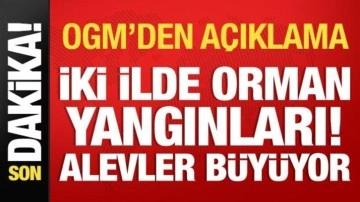 İzmir ve Çanakkale'de orman yangınları