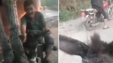 İzmir'de eşeğe eziyet eden iki ş&uuml;pheliye 30 g&uuml;n hayvan barınağı temizleme cezası